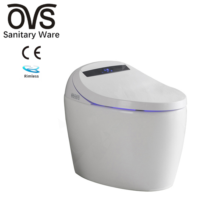 WC Sanitary Wares Automatic Bathroom Rimless Water Closet Smart Toilet Bowl