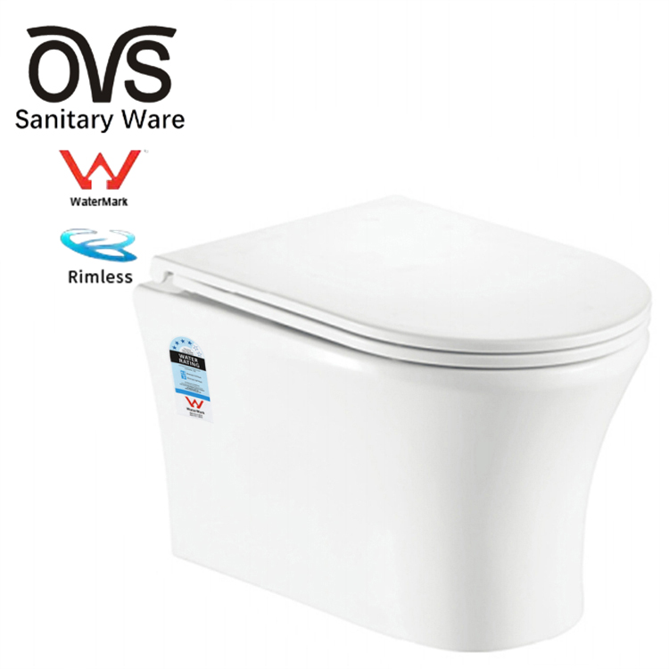 Wall Mounted Water Closet Bathroom Ceramic Tankless Rimless Wall Hang Toilets