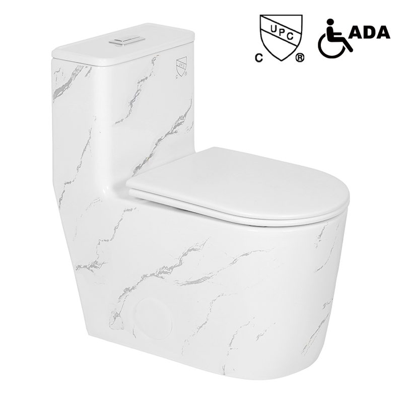 Sanitary Wares ADA Standard Dual Flush One Piece Elongated Toilet With Soft Closing Seat Comfort