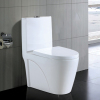 One Piece Toilet Bowl Washdown Flush WC S-trap Back To Wall Sanitary Ware Ceramic Toilet