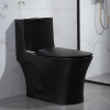 One piece porcelain water closet matte black toilet