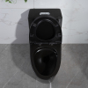 Dual flush WC one piece ceramic black toilet bowl