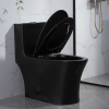 One piece porcelain water closet matte black toilet