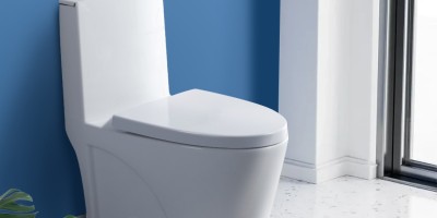 Explore the Latest Trends in One Piece Toilets