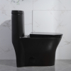 Ceramic Elongated Toilet 2-1/8