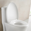 Dual Flush Ceramic Modern One Piece Toilet