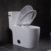 Latest Vitreous China One Piece Modern Water Closet For Commercial Bathroom Villa