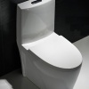 Top Flush One Piece ECO Toilet