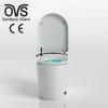 Automatic Electric Toilet Bidet Valve Flow Auto Flush Intelligent Smart Toilets