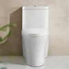 Dual Flush Ceramic Modern One Piece Toilet