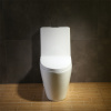 North American Style ADA Dual Flush Ceramic Modern One Piece Toilet