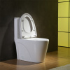 North American Style ADA Dual Flush Ceramic Modern One Piece Toilet