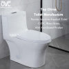 American Standard 1 Piece Skirted Toilet With Top Flush Button 12