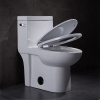 Upc Side Flush American Standard Modern One Piece Toilet With Map 1000