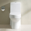 12 Inch Rough In Siphonic Dual Flush Round Toilet Bowls S Trap Water Closet