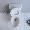 Comfort Height Skirted Two Piece Toilet White