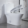 American Bathroom Water Closet Custom Ceramic Elongated Commode Siphonic Flush Modern One Piece Toilet