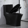 One piece porcelain water closet matte black toilet