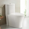 Dual Flush Ceramic Modern One Piece Toilet