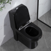 One Piece Floor Mounted Toilet Black Fully Glazed Flush Water Closet