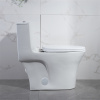 American Bathroom Water Closet Custom Ceramic Elongated Commode Siphonic Flush Modern One Piece Toilet