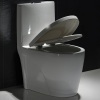 Top Flush One Piece ECO Toilet