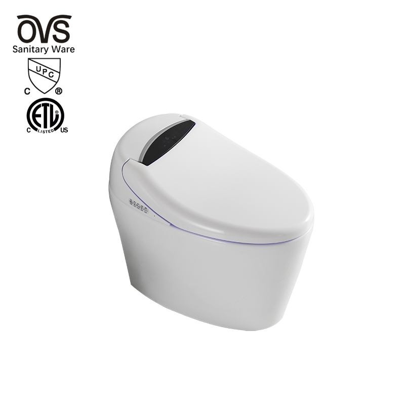 Luxury Modern Style Pure Ceramic Smart Toilet Intelligent