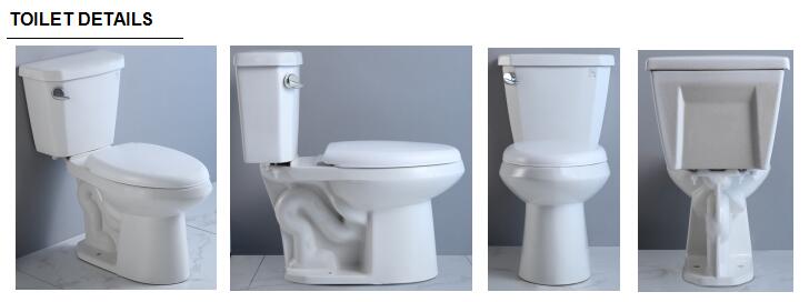 China Two Piece Toilet