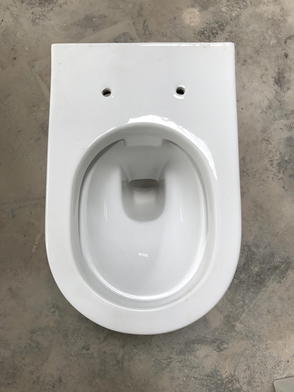 Dual Flush Ada Toilet