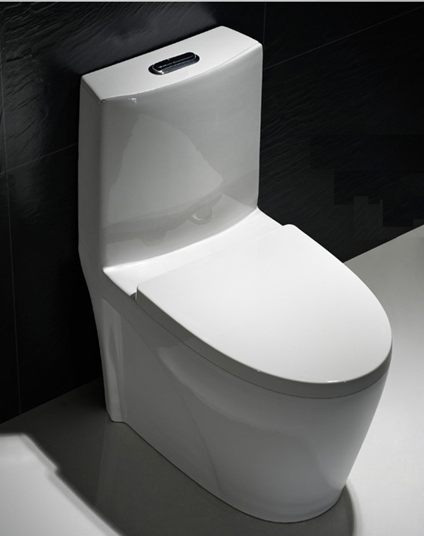 One Piece ECO Toilet