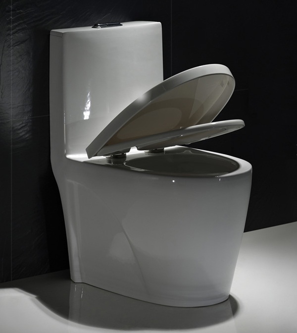 One Piece ECO Toilet