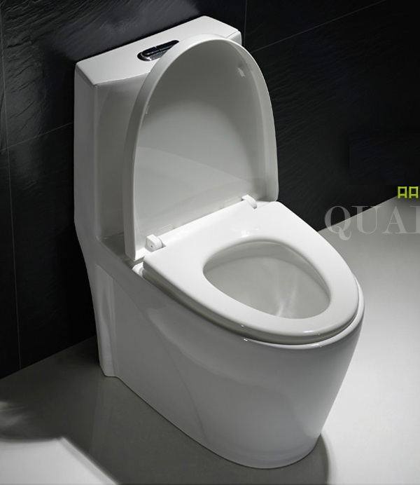 One Piece ECO Toilet