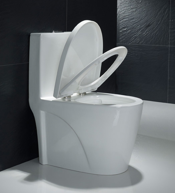 One Piece ECO Toilet