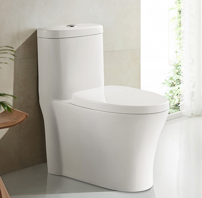 modern-one-piece-toilet