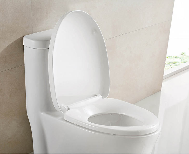 modern-one-piece-toilet