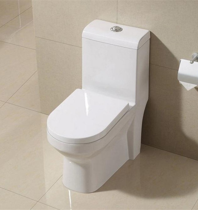 elongated-one-piece-bathroom-toilet