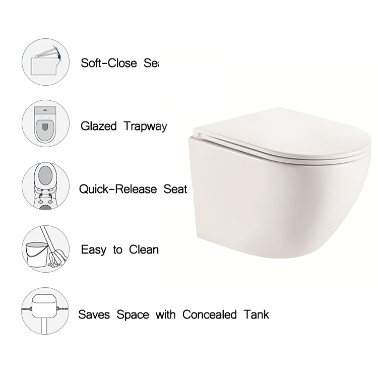 American Standard Wall Hung Toilet