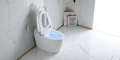 Reasons for the smart toilet flushing problem