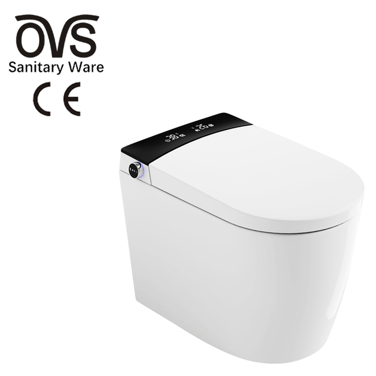 Automatic Electric Toilet Bidet Valve Flow Auto Flush Intelligent Smart Toilets