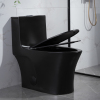 One piece porcelain water closet matte black toilet