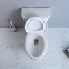 Two-piece Compact Elongated Toilet