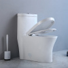 Bathroom Ceramic Ada Comfort Height Toilet One-Piece Elongated