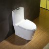 North American Style ADA Dual Flush Ceramic Modern One Piece Toilet