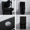 One Piece Floor Mounted Toilet Black Fully Glazed Flush Water Closet