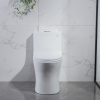 American Bathroom Water Closet Custom Ceramic Elongated Commode Siphonic Flush Modern One Piece Toilet