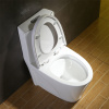 North American Style ADA Dual Flush Ceramic Modern One Piece Toilet