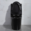 Dual flush WC one piece ceramic black toilet bowl