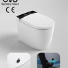 Automatic Electric Toilet Bidet Valve Flow Auto Flush Intelligent Smart Toilets