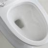 Dual Flush Ceramic Modern One Piece Toilet