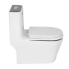 OEM Luxury Sanitary Ware Dual Flush Black Line One Piece Elongated Toilet